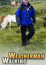 Watch Weatherman Walking Zumvo