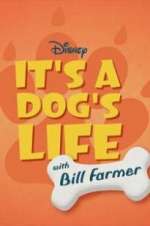 Watch It\'s a Dog\'s Life with Bill Farmer Zumvo