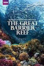 Watch Great Barrier Reef with David Attenborough Zumvo