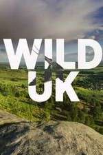 Watch Wild UK Zumvo