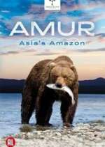 Watch Amur Asia's Amazon Zumvo