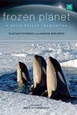 Watch Frozen Planet Zumvo