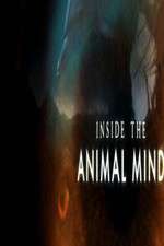 Watch Inside the Animal Mind Zumvo