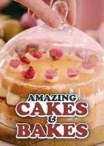 Watch Amazing Cakes & Bakes Zumvo