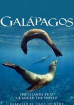 Watch Galapagos Zumvo