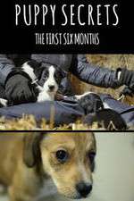 Watch Puppy Secrets: The First Six Months Zumvo