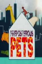 Watch Preposterous Pets Zumvo