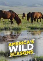 Watch America's Wild Seasons Zumvo