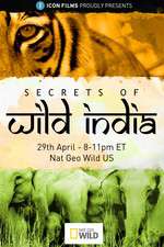 Watch Secrets of Wild India Zumvo