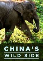 Watch China's Wild Side Zumvo