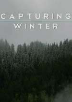 Watch Capturing Winter Zumvo