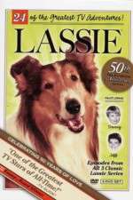 Watch Lassie Zumvo