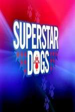 Watch Superstar Dogs Zumvo