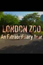 Watch London Zoo: An Extraordinary Year Zumvo