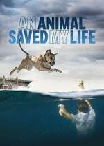 Watch An Animal Saved My Life Zumvo