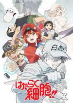 Watch Cells at Work! Zumvo