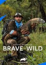 Watch Coyote Peterson: Brave the Wild Zumvo