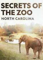 Watch Secrets of the Zoo: North Carolina Zumvo