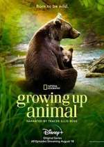 Watch Growing Up Animal Zumvo