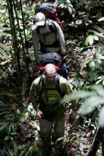Watch Walking The Amazon Zumvo
