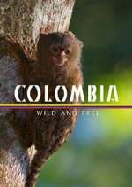 Watch Colombia: Wild and Free Zumvo