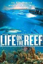 Watch Life on the Reef Zumvo