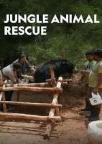 Watch Jungle Animal Rescue Zumvo