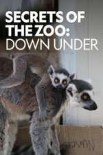 Watch Secrets of the Zoo: Down Under Zumvo