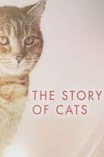 Watch The Story of Cats Zumvo