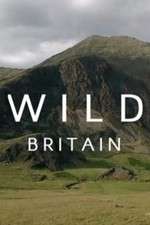 Watch Wild Britain Zumvo
