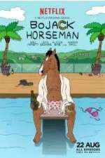 Watch BoJack Horseman Zumvo