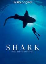 Watch Shark with Steve Backshall Zumvo