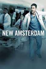 Watch New Amsterdam Zumvo