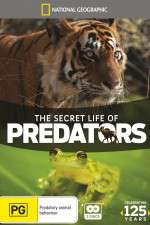 Watch Secret Life of Predators Zumvo