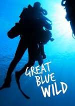 Watch Great Blue Wild Zumvo