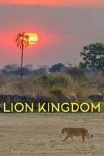 Watch Lion Kingdom Zumvo