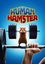 Watch Human vs. Hamster Zumvo