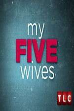 Watch My Five Wives Zumvo