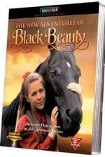 Watch The New Adventures of Black Beauty Zumvo