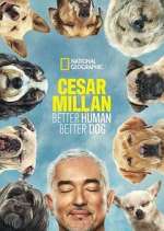 Watch Cesar Millan: Better Human Better Dog Zumvo