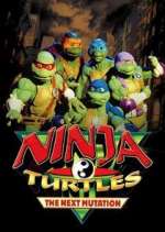 Watch Ninja Turtles: The Next Mutation Zumvo