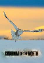 Watch Kingdom of the North Zumvo