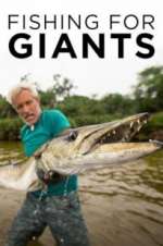 Watch Fishing for Giants Zumvo
