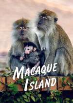 Watch Macaque Island Zumvo