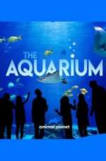 Watch The Aquarium Zumvo