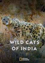 Watch Wild Cats of India Zumvo