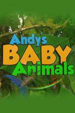 Watch Andy's Baby Animals Zumvo