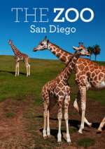 Watch The Zoo: San Diego Zumvo