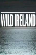 Watch Wild Ireland Zumvo