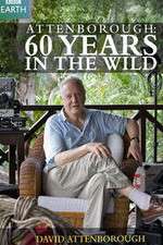 Watch Attenborough 60 Years in the Wild Zumvo